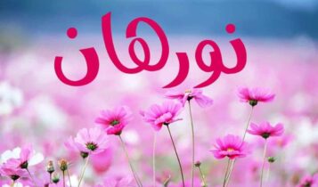 كلمات اغنية شيشة يا معلمة - نورهان