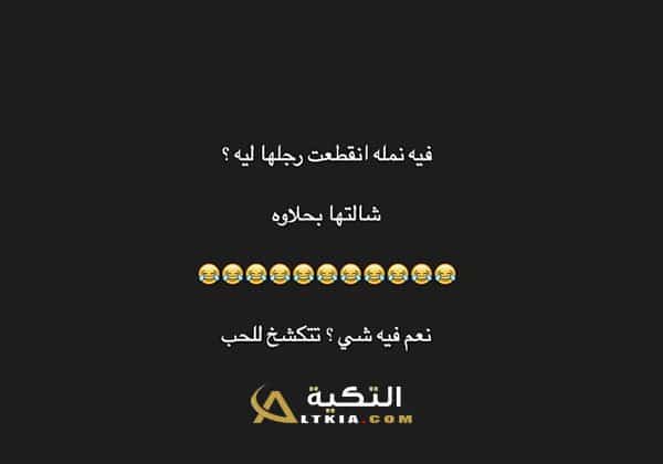 نكت نمل
