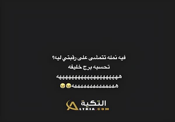 نكت نمل