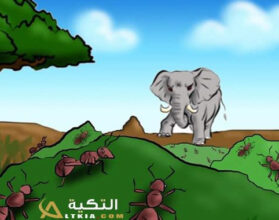 نكت نمل وفيلة