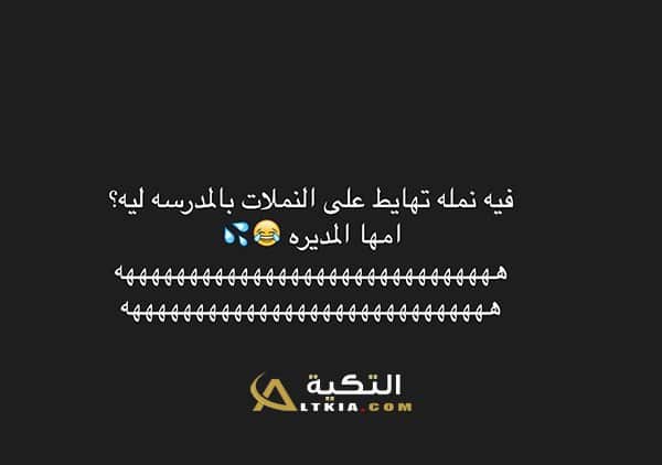 نكت نمل