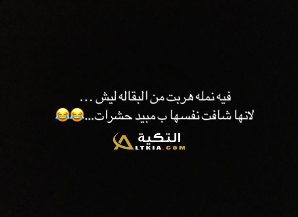 نكت نمل