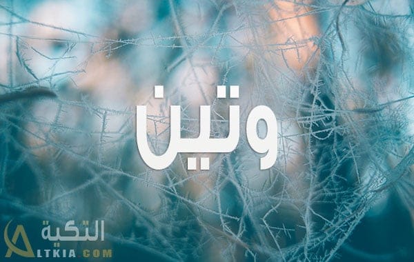 معنى اسم وتين