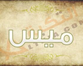 معنى اسم ميس