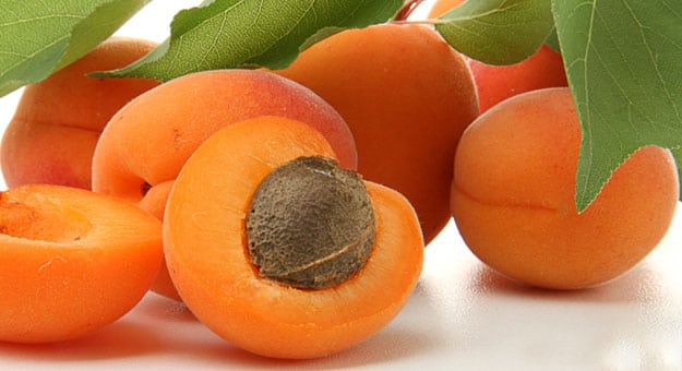 فوائد المشمش