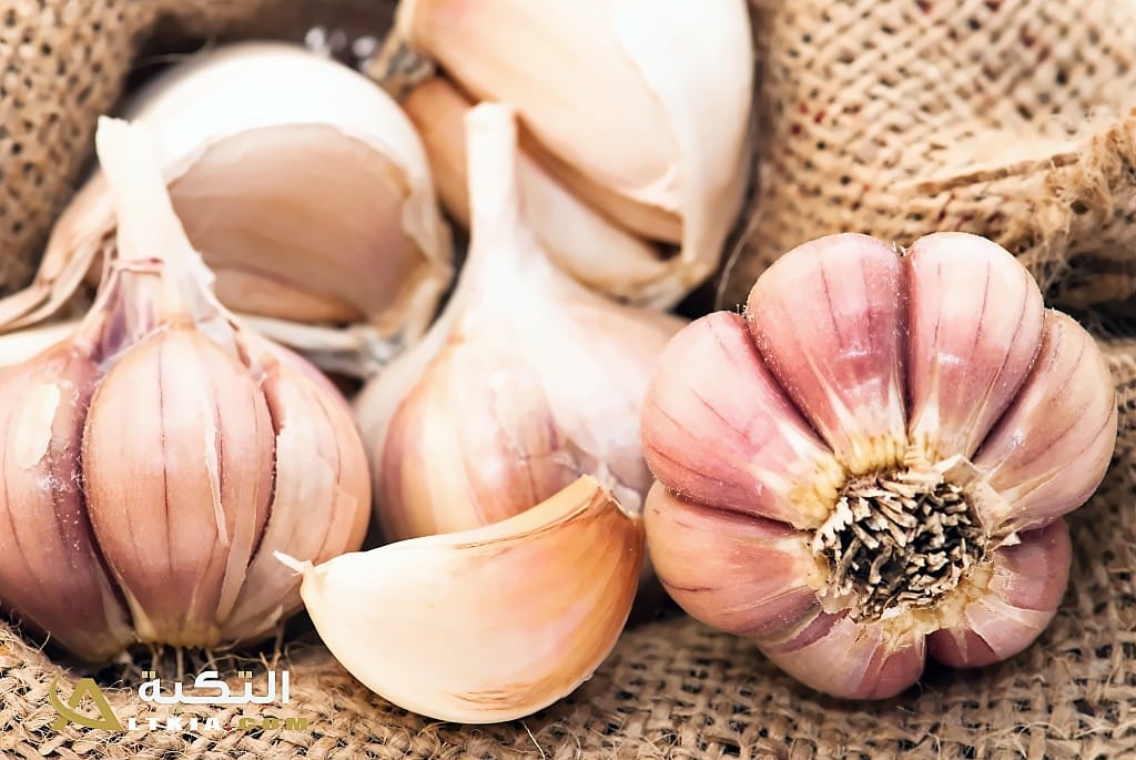 فوائد الثوم