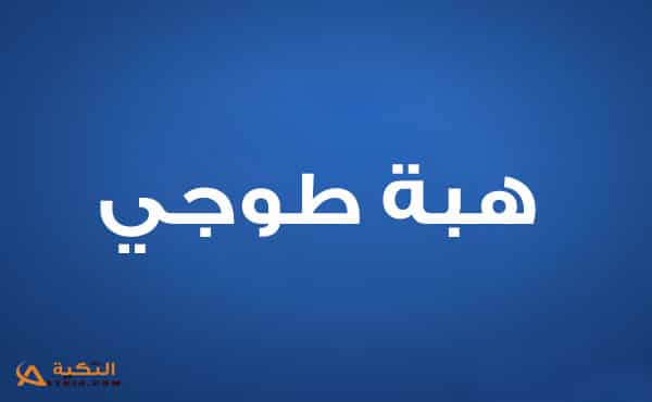 هبة طوجي