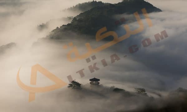 تفسير حلم الرياح