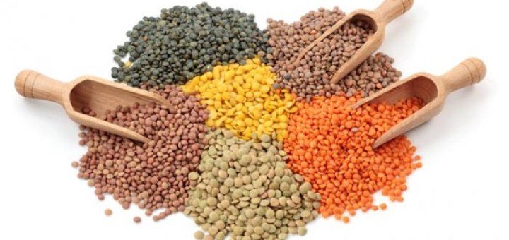 فوائد العدس