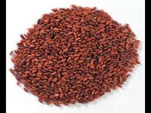 فوائد حب الرشاد للصحة