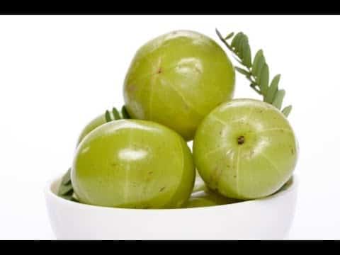 فوائد عشبة الأملج للصحة