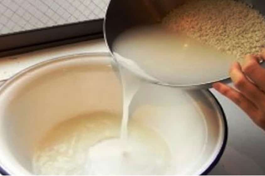 فوائد ماء الأرز للبشرة
