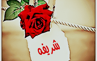 معنى اسم شريفة