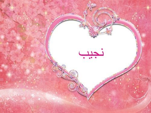 معنى اسم نجيب