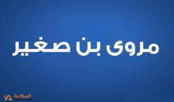 مروى بن صغير