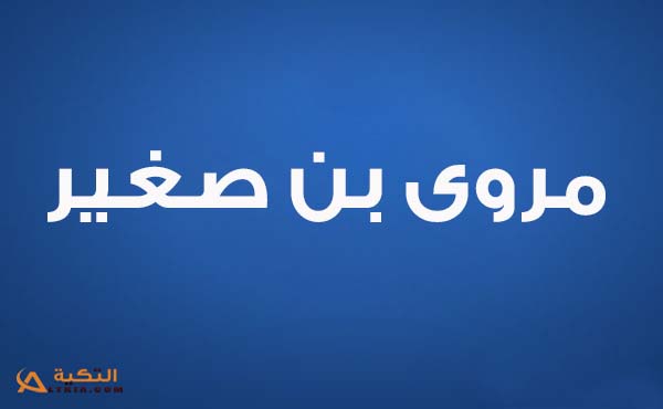 مروى بن صغير