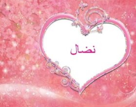 معنى اسم نضال