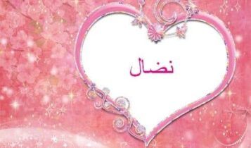 معنى اسم نضال