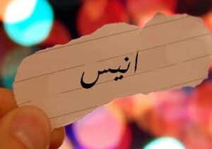 معنى اسم أنيس