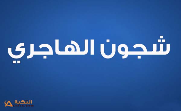كلمات اغنية حقي ومقي - شجون الهاجري