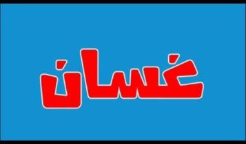 معنى اسم غسان