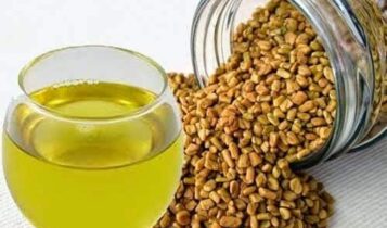 فوائد الحلبة للأطفال