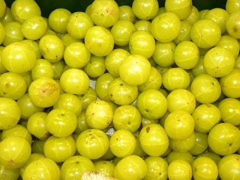 فوائد الأملج للصحة
