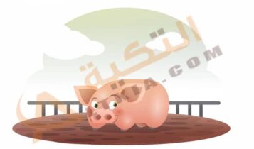 تفسير حلم الخنزير