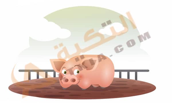 تفسير حلم الخنزير