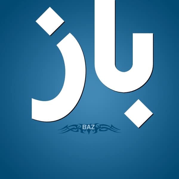 معنى اسم باز