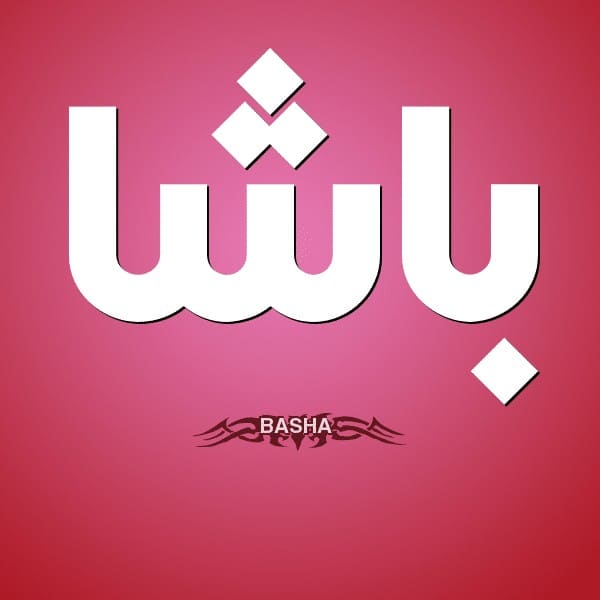 معنى اسم باشا