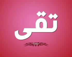 معنى اسم تقى