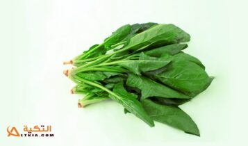 فوائد السبانخ