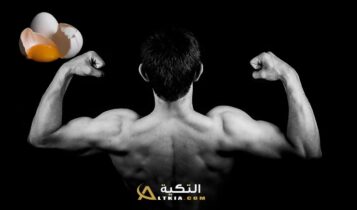 فوائد بياض البيض للعضلات