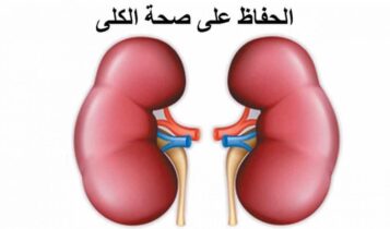 أطعمة للحفاظ علي الكليتين