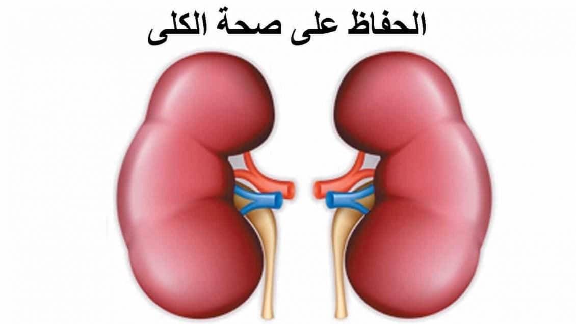 أطعمة للحفاظ علي الكليتين