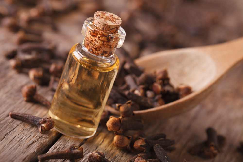 أضرار زيت القرنفل للأطفال