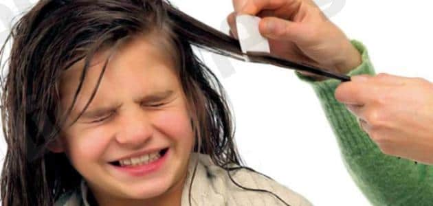 طرق التخلص من قمل الشعر للأطفال