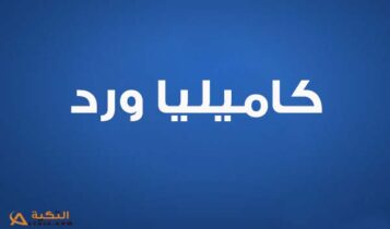 اغنية كل شيء وارد منك