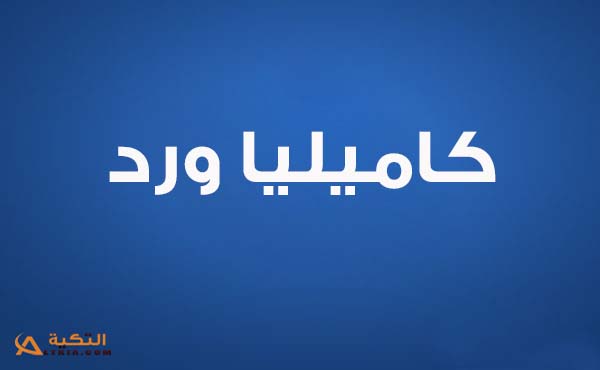 اغنية كل شيء وارد منك