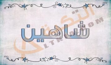 معنى اسم شاهين