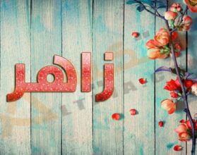 معنى اسم زاهر
