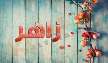 معنى اسم زاهر