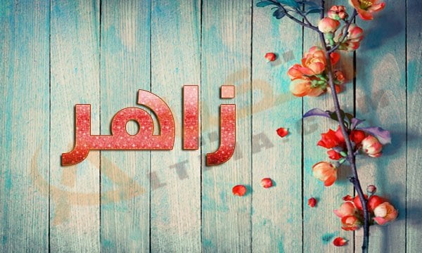 معنى اسم زاهر