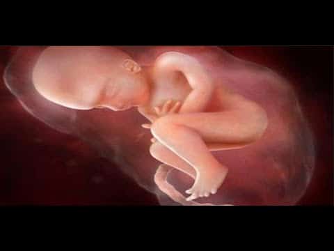 أسباب توقف نبض الجنين
