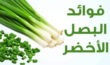 فوائد البصل الأخضر الصحية