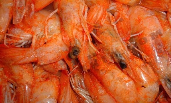 فوائد الجمبري للصحة