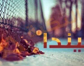 معنى اسم ليندا