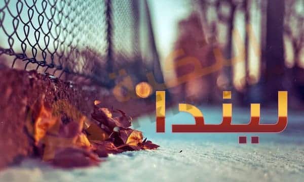 معنى اسم ليندا