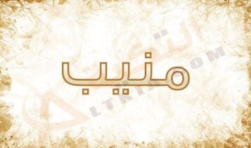 معنى اسم منيب